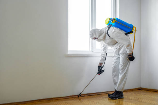 Best Pest Removal Services  in Jacobus, PA